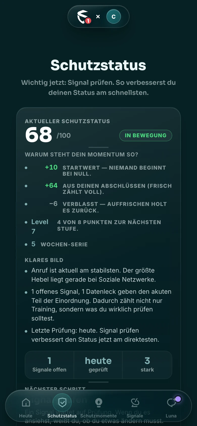 Schutzstatus-Ansicht: Score, klares Bild und Kompetenz-Radar